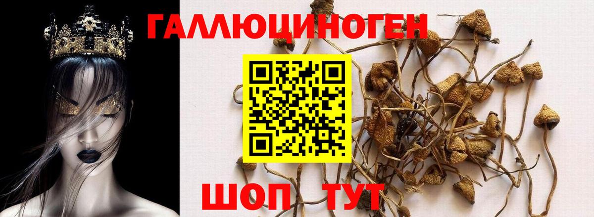 Мефедрон кристаллы  ГАШ  Вход с VPN  Муравленко  ГАШИШ  Alpha PVP СОЛЬ   Канабис  Cocaine  Метадон 