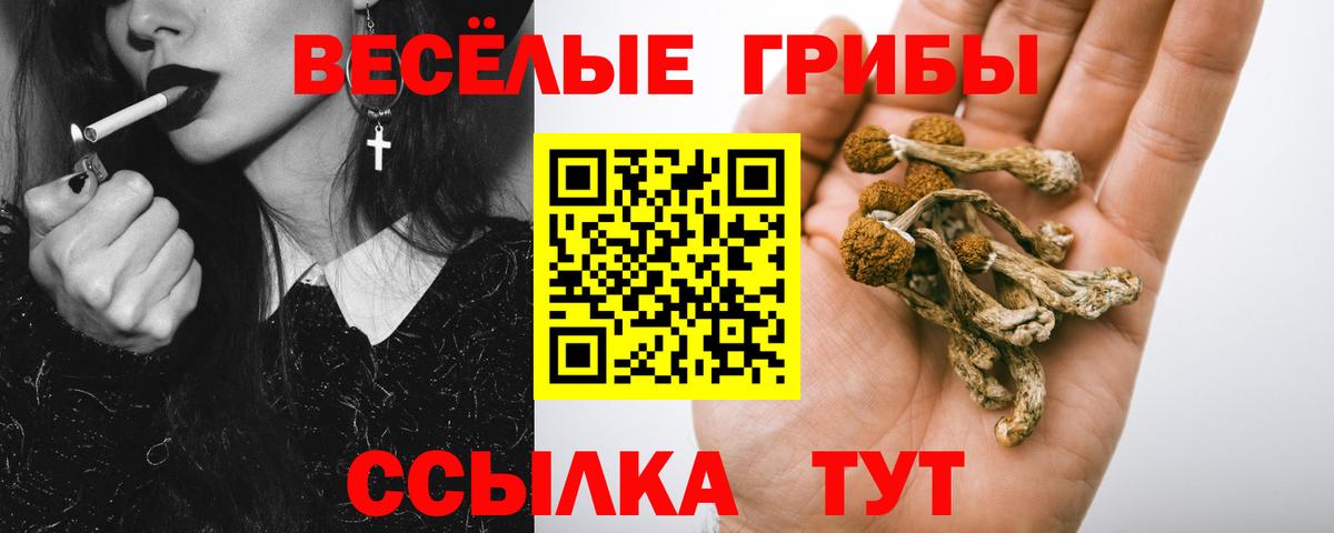 Галлюциногенные грибы прущие грибы Муравленко